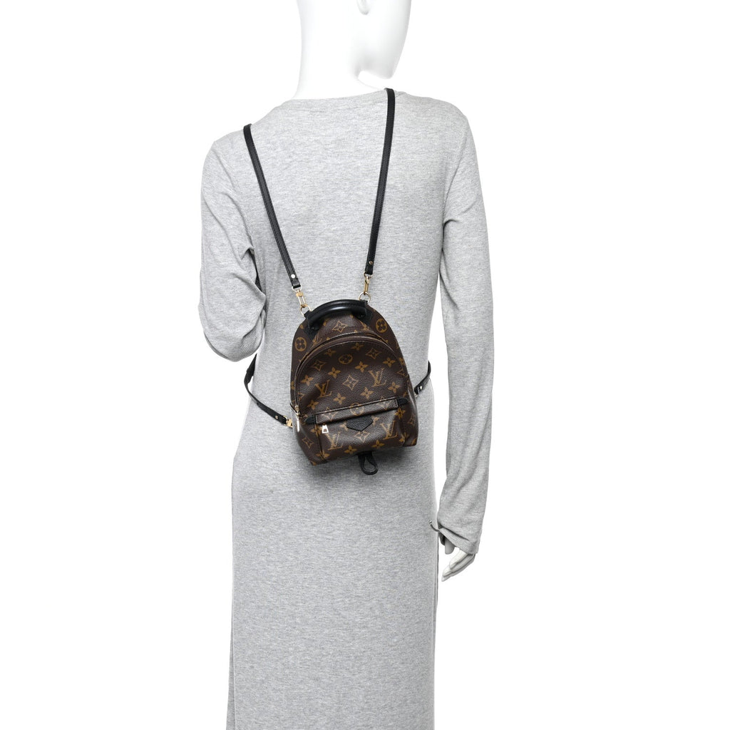 Monogram Palm Springs Backpack Mini