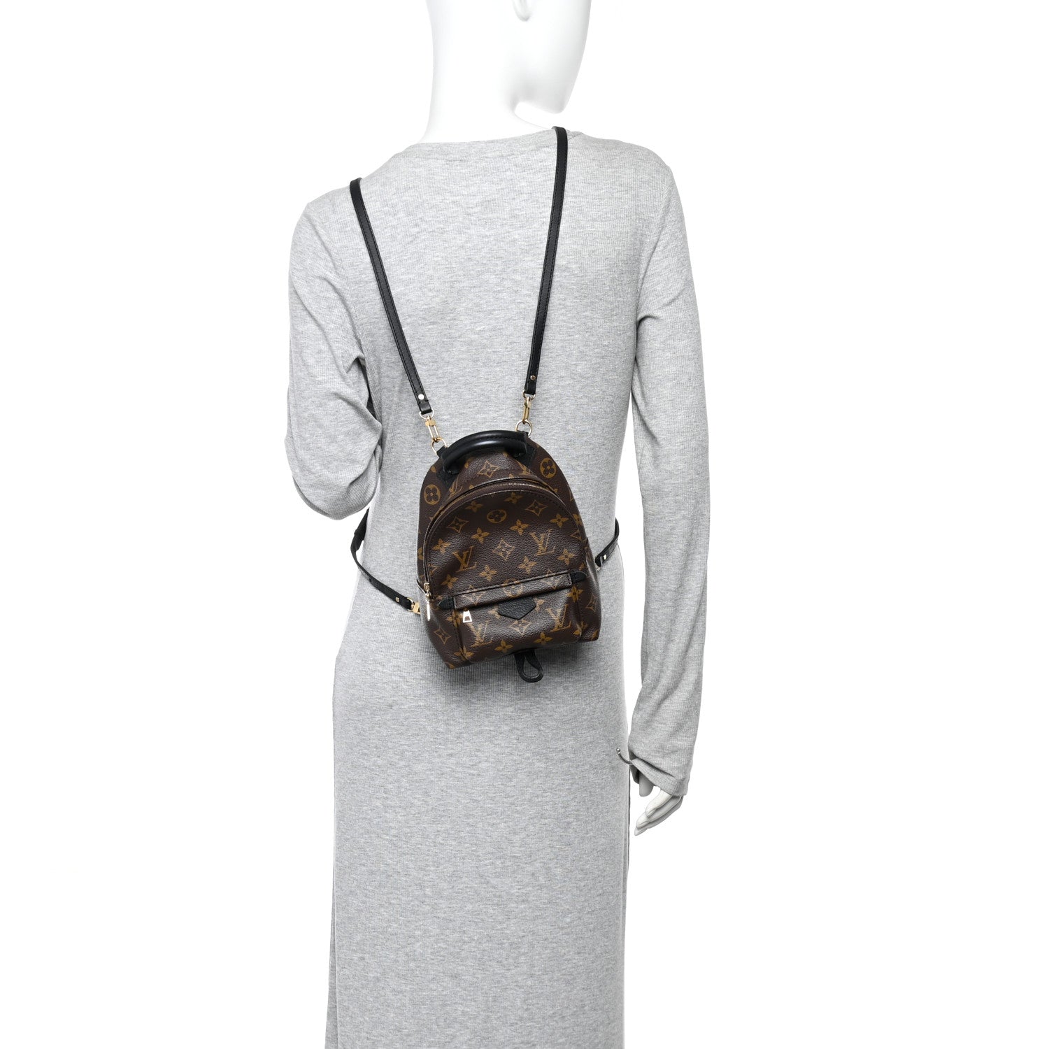 Monogram Palm Springs Backpack Mini