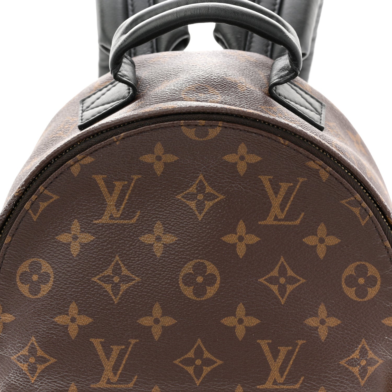 Monogram Palm Springs Backpack PM