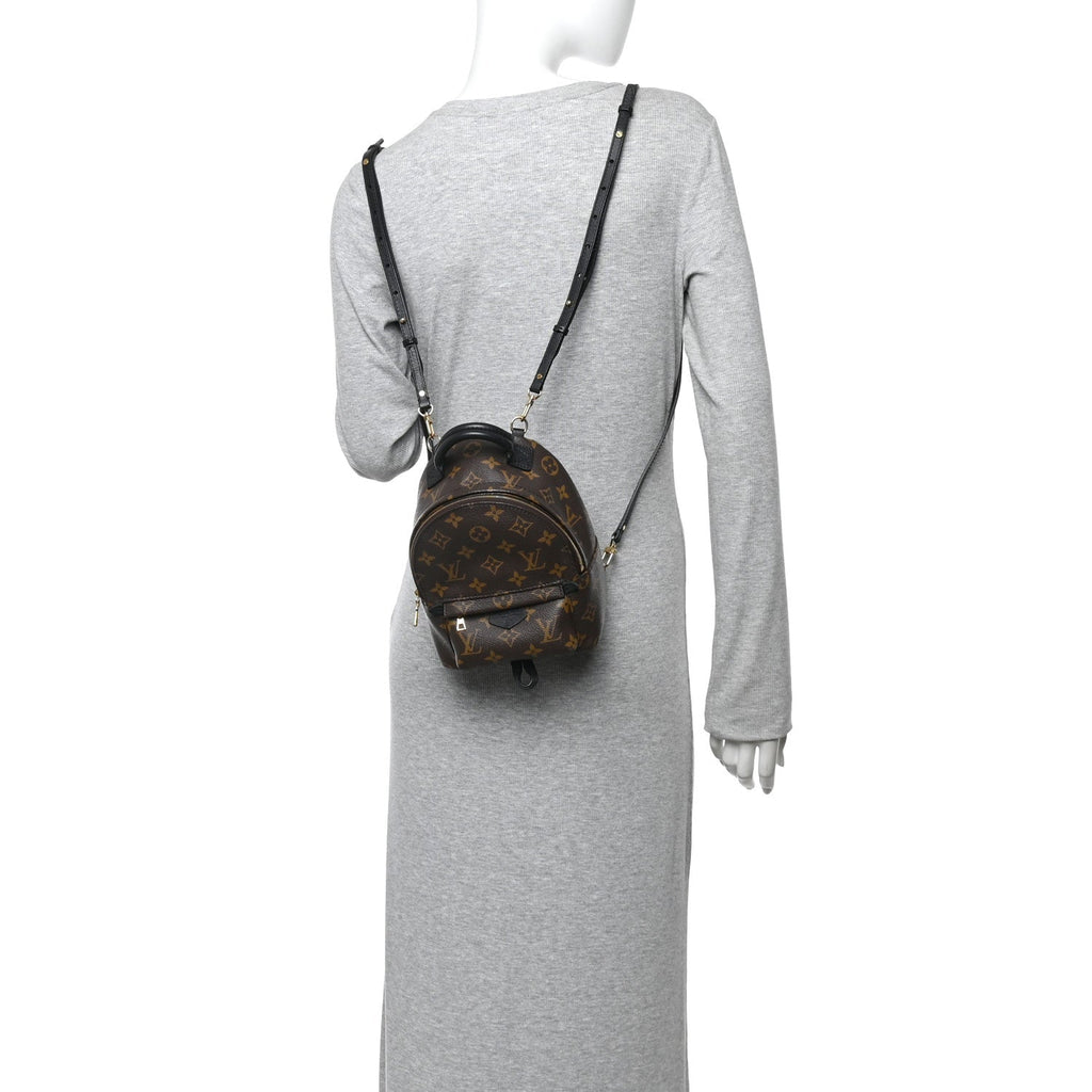 Monogram Palm Springs Backpack Mini