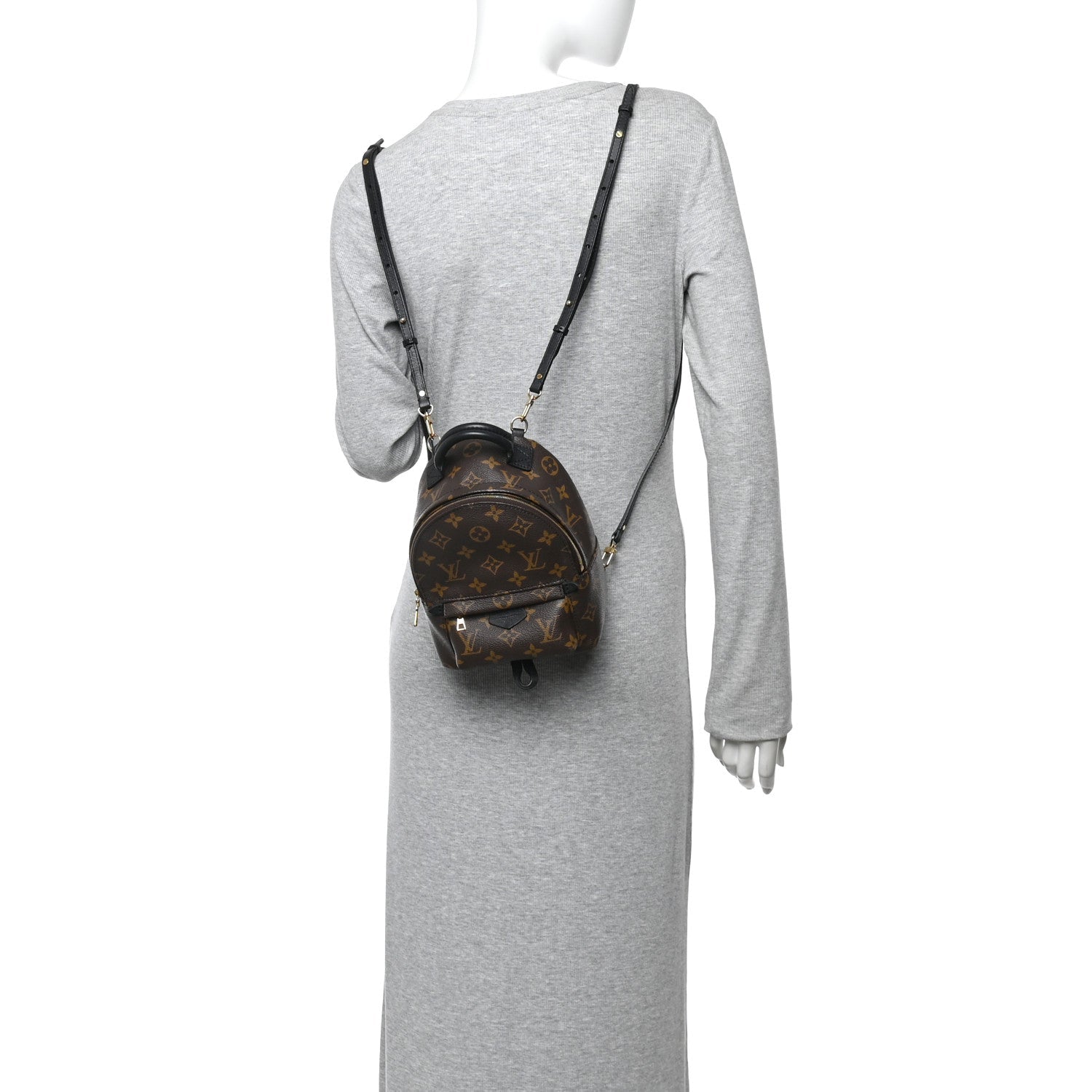 Monogram Palm Springs Backpack Mini