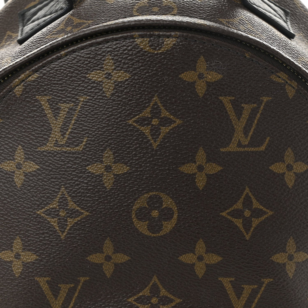 Monogram Palm Springs Backpack PM