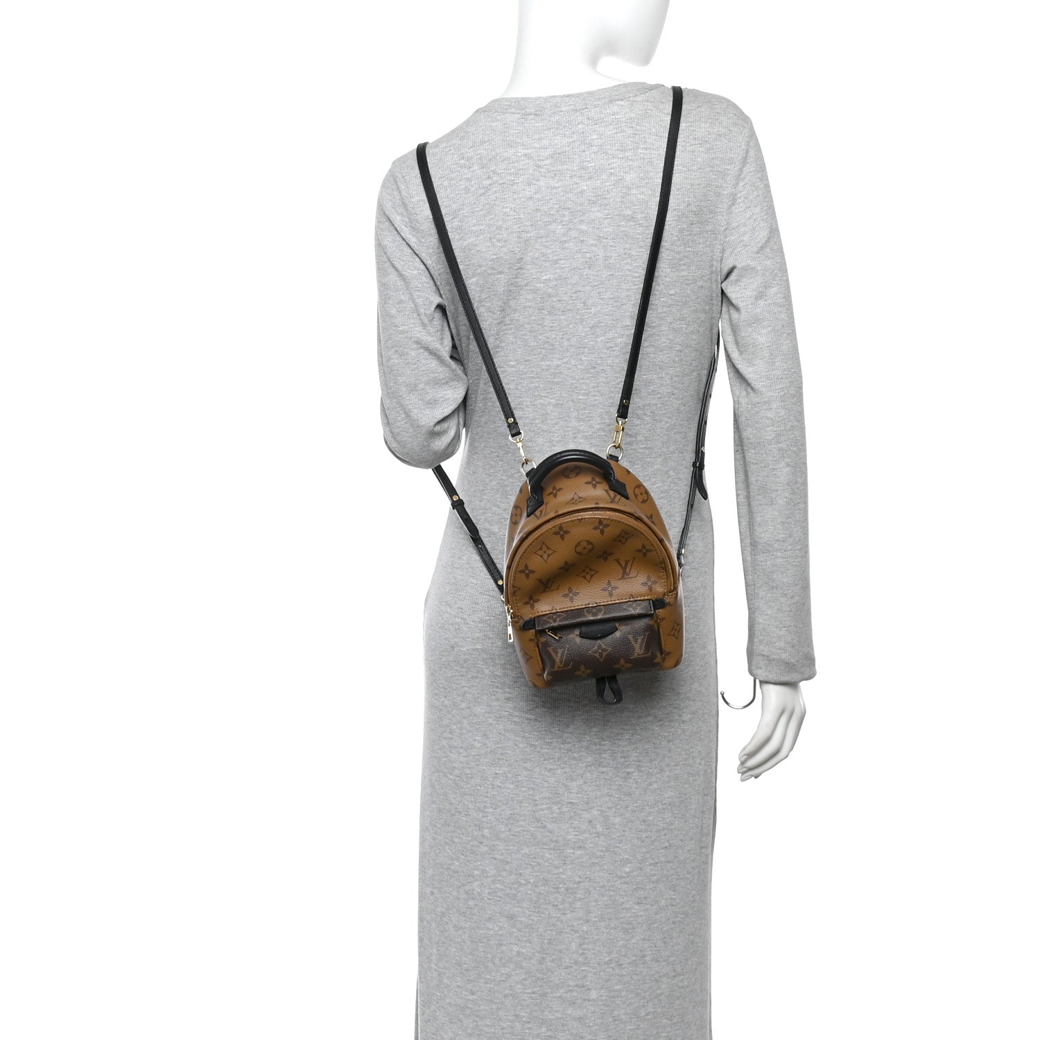 Reverse Monogram Palm Springs Backpack Mini