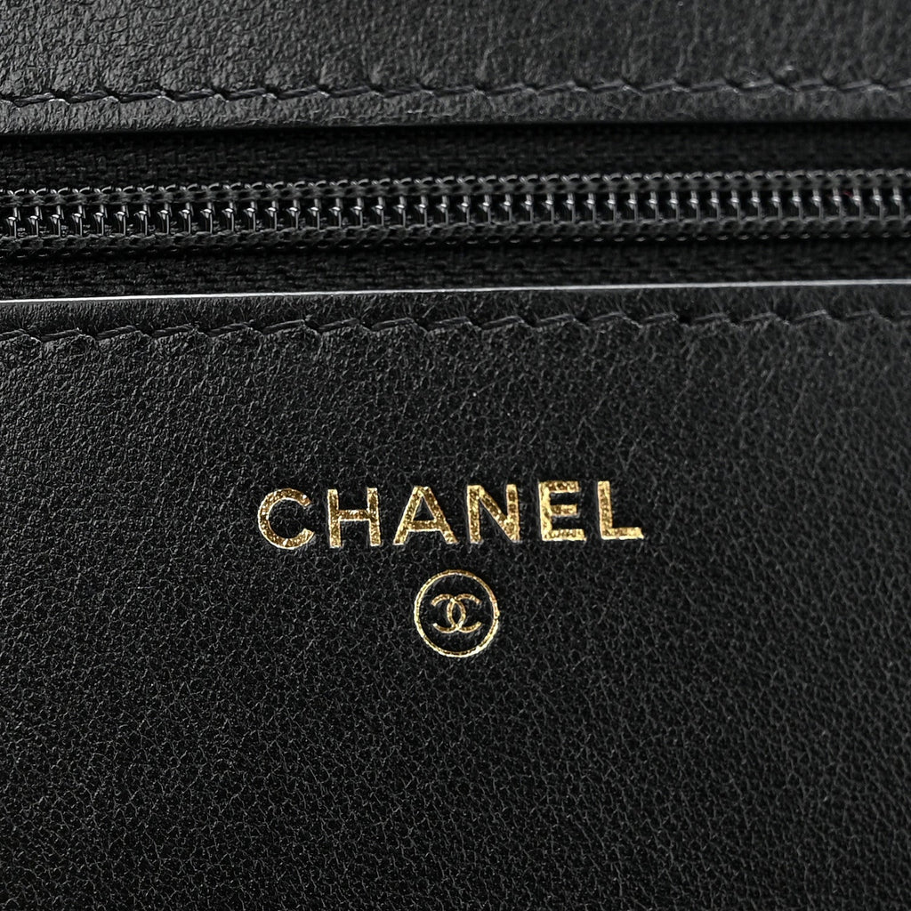 Lambskin Quilted Chanel 19 Wallet On Chain WOC Black