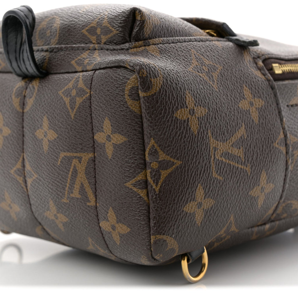 Monogram Palm Springs Backpack Mini