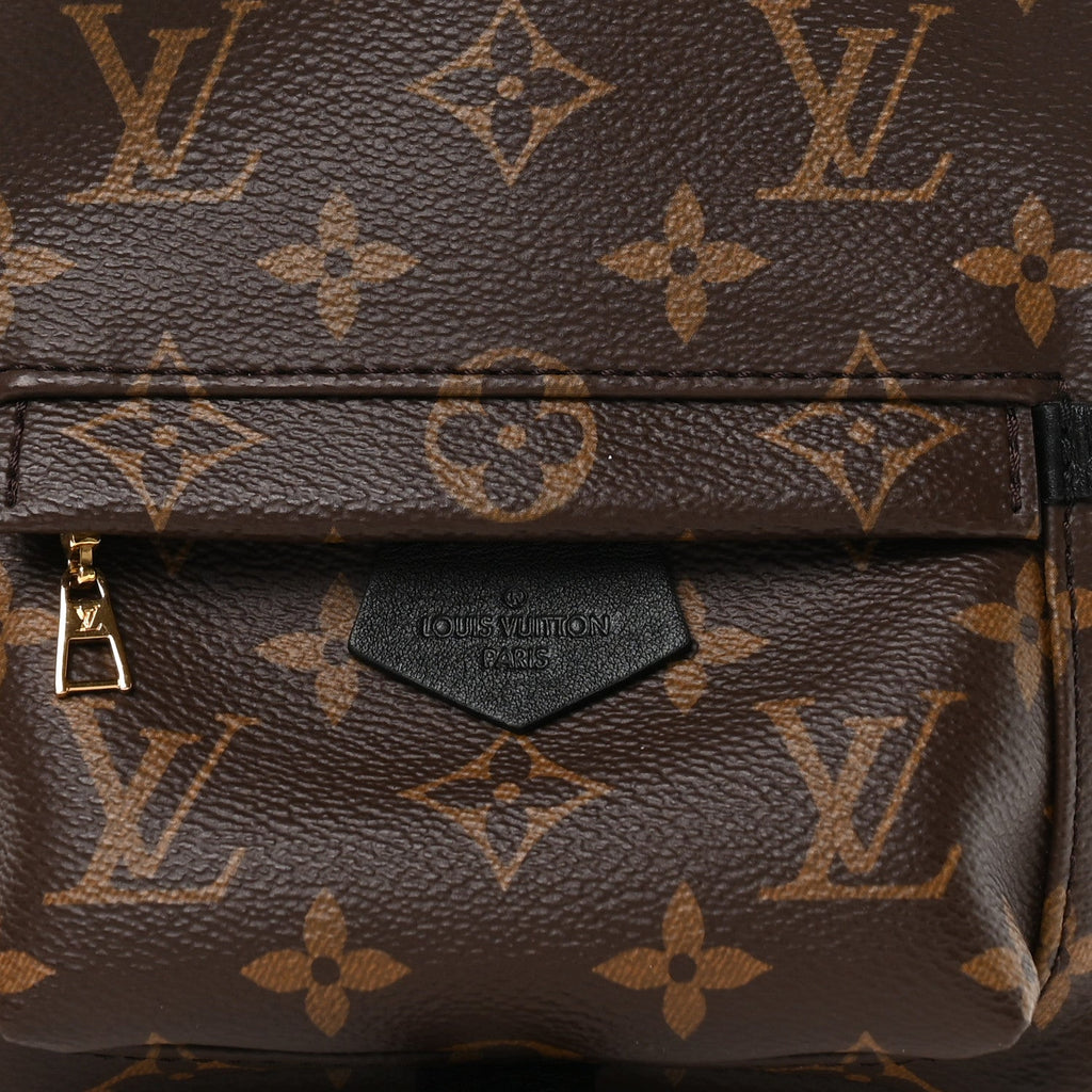 Monogram Palm Springs Backpack Mini