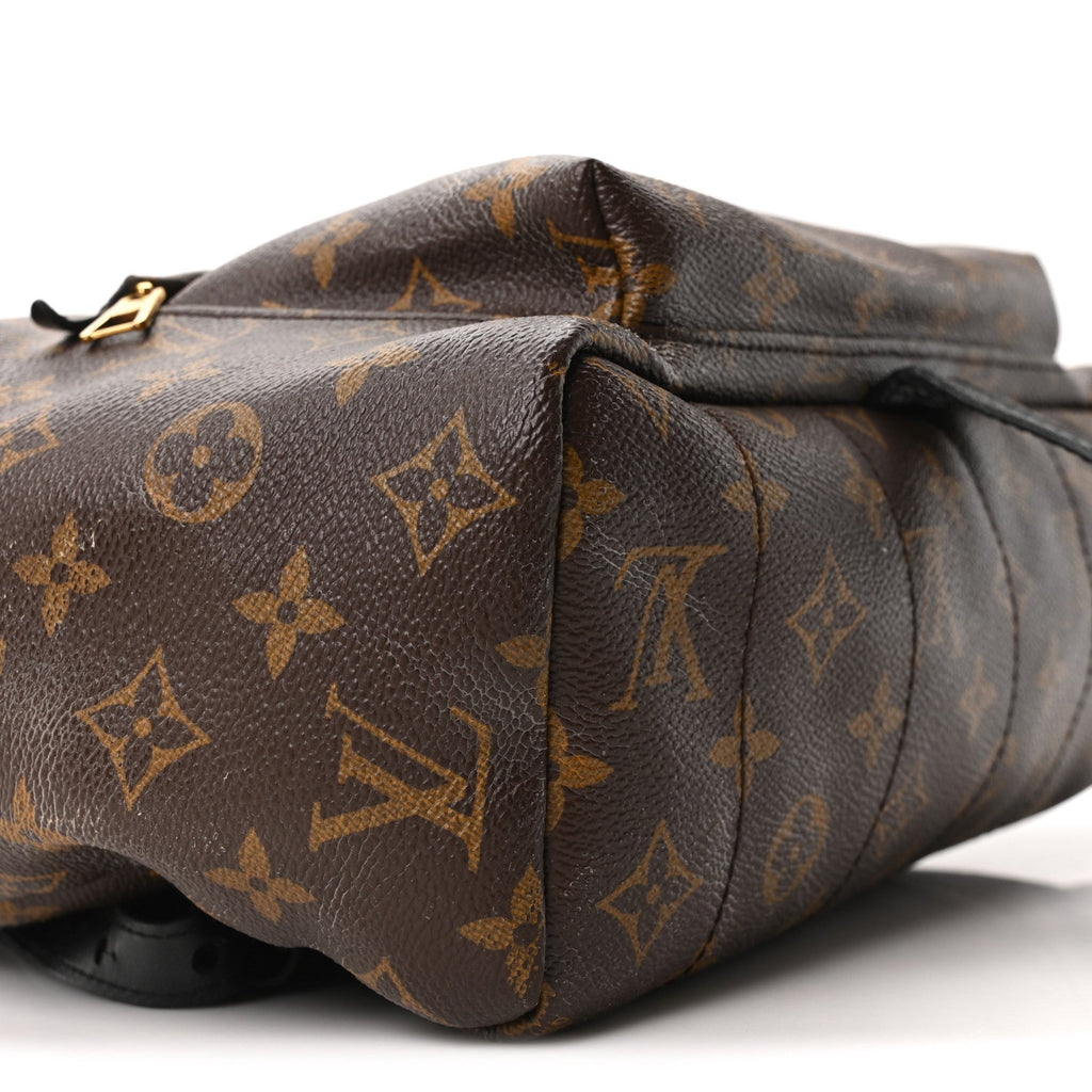 Monogram Palm Springs Backpack MM