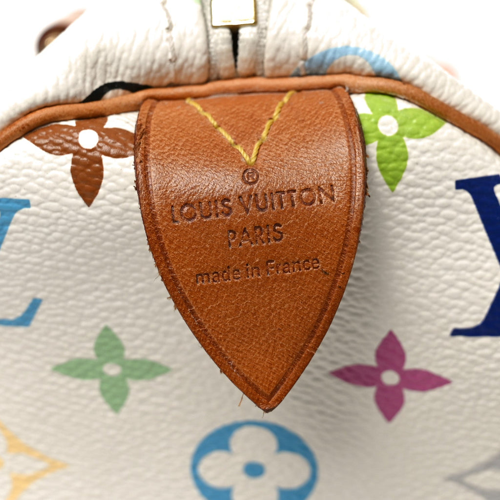 Monogram Multicolor Speedy 30 White