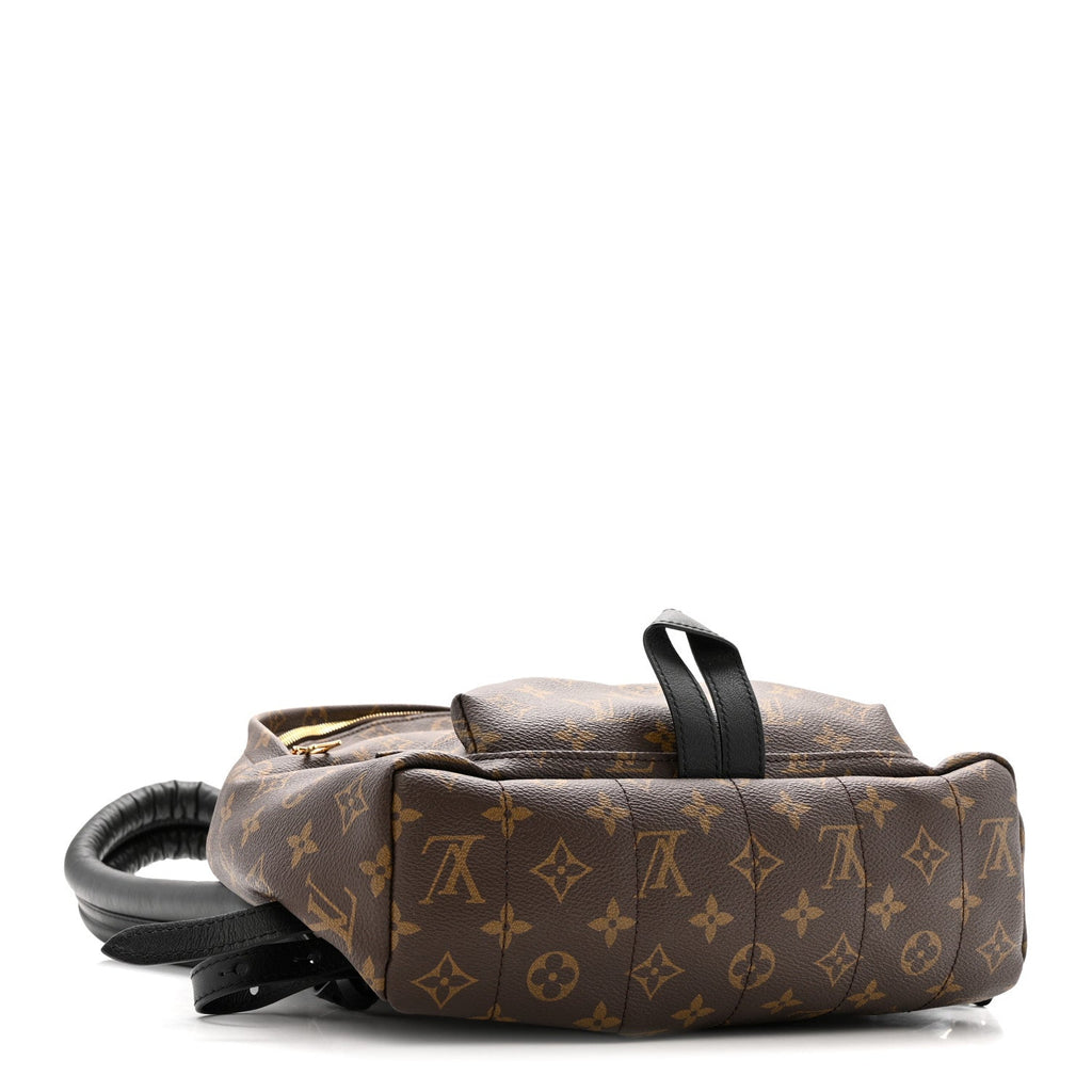 Monogram Palm Springs Backpack MM