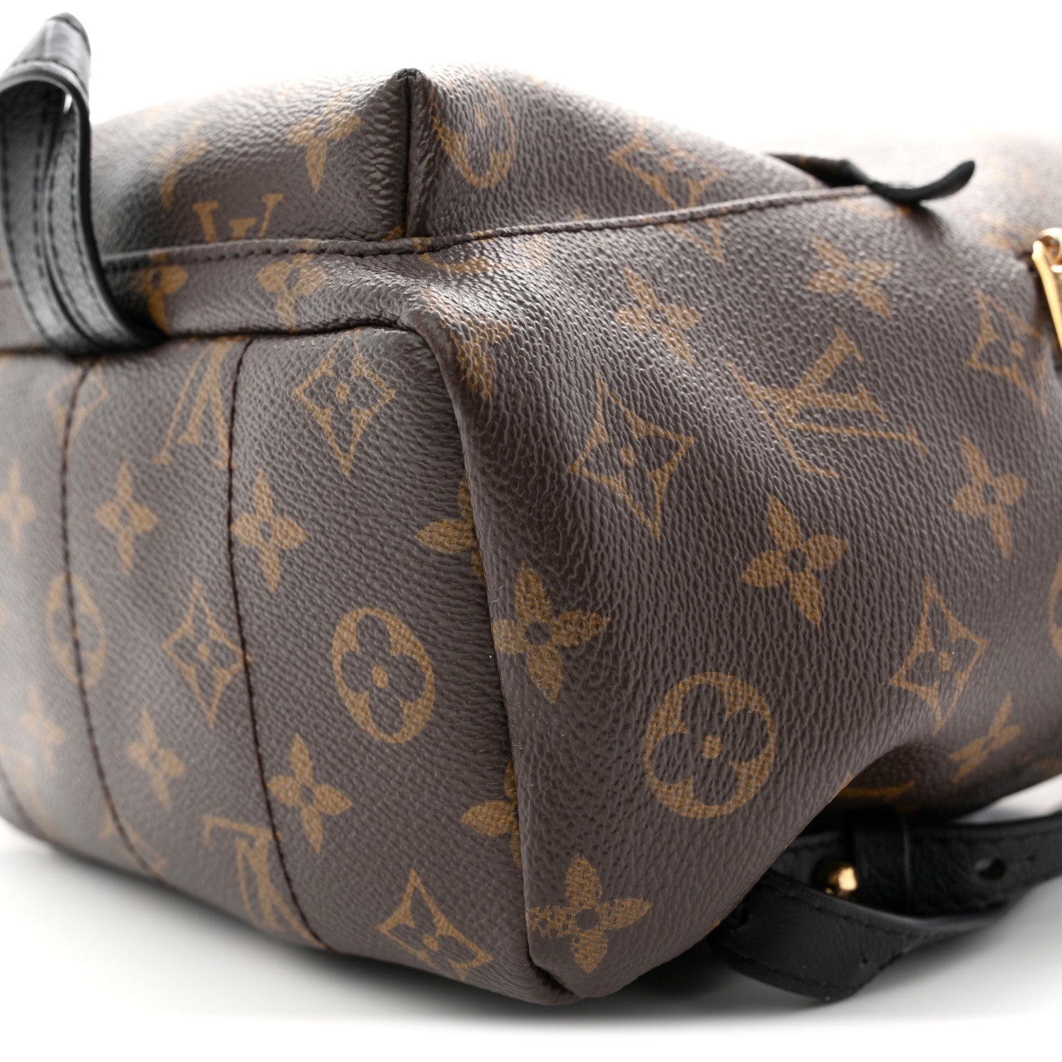 Monogram Palm Springs Backpack PM