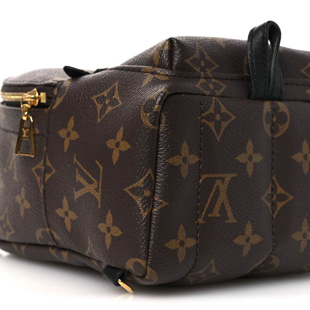 Monogram Palm Springs Backpack Mini