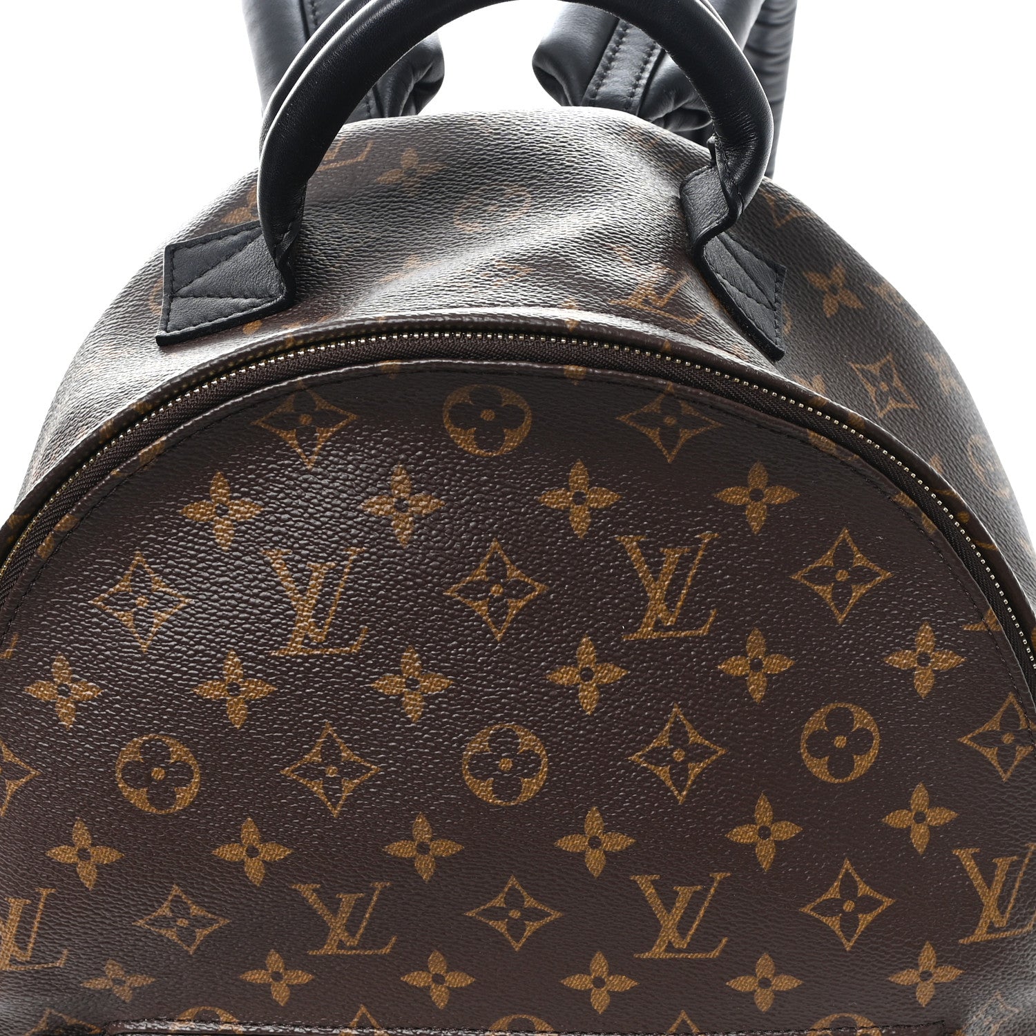 Monogram Palm Springs Backpack MM