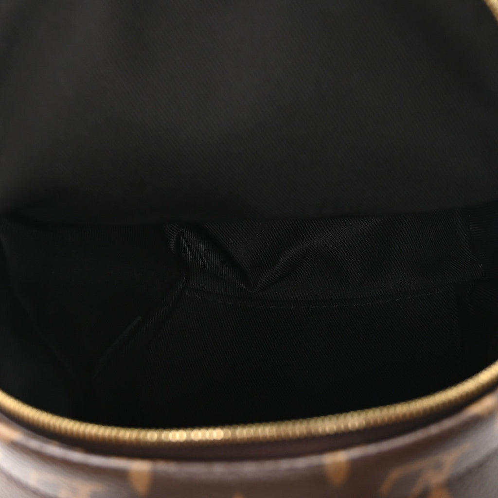 Monogram Palm Springs Backpack Mini