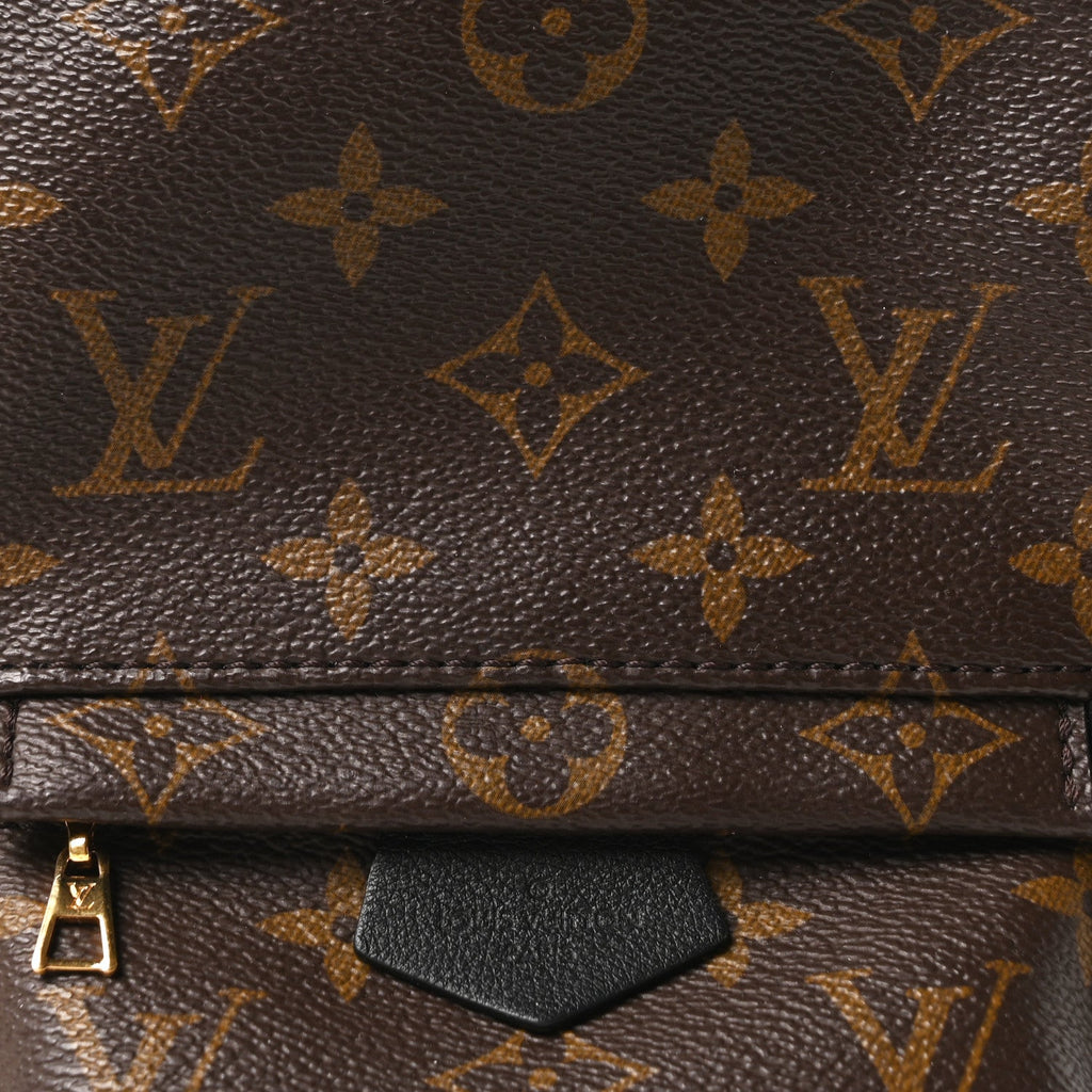 Monogram Palm Springs Backpack Mini
