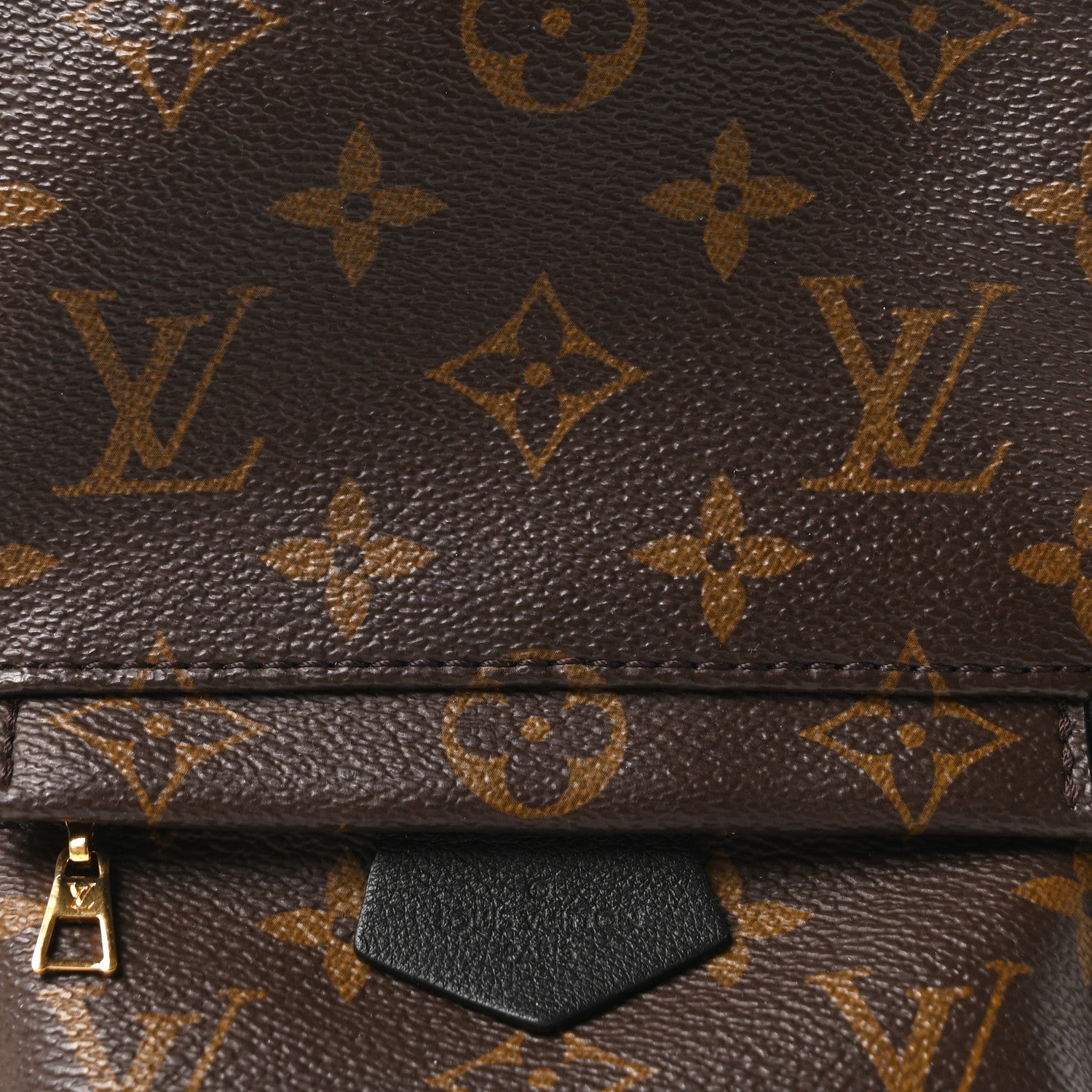Monogram Palm Springs Backpack Mini