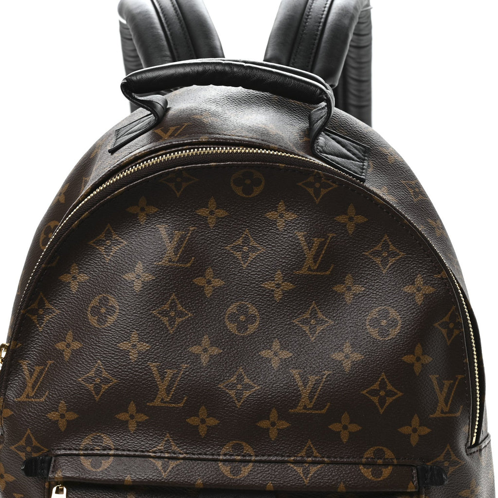 Monogram Palm Springs Backpack MM