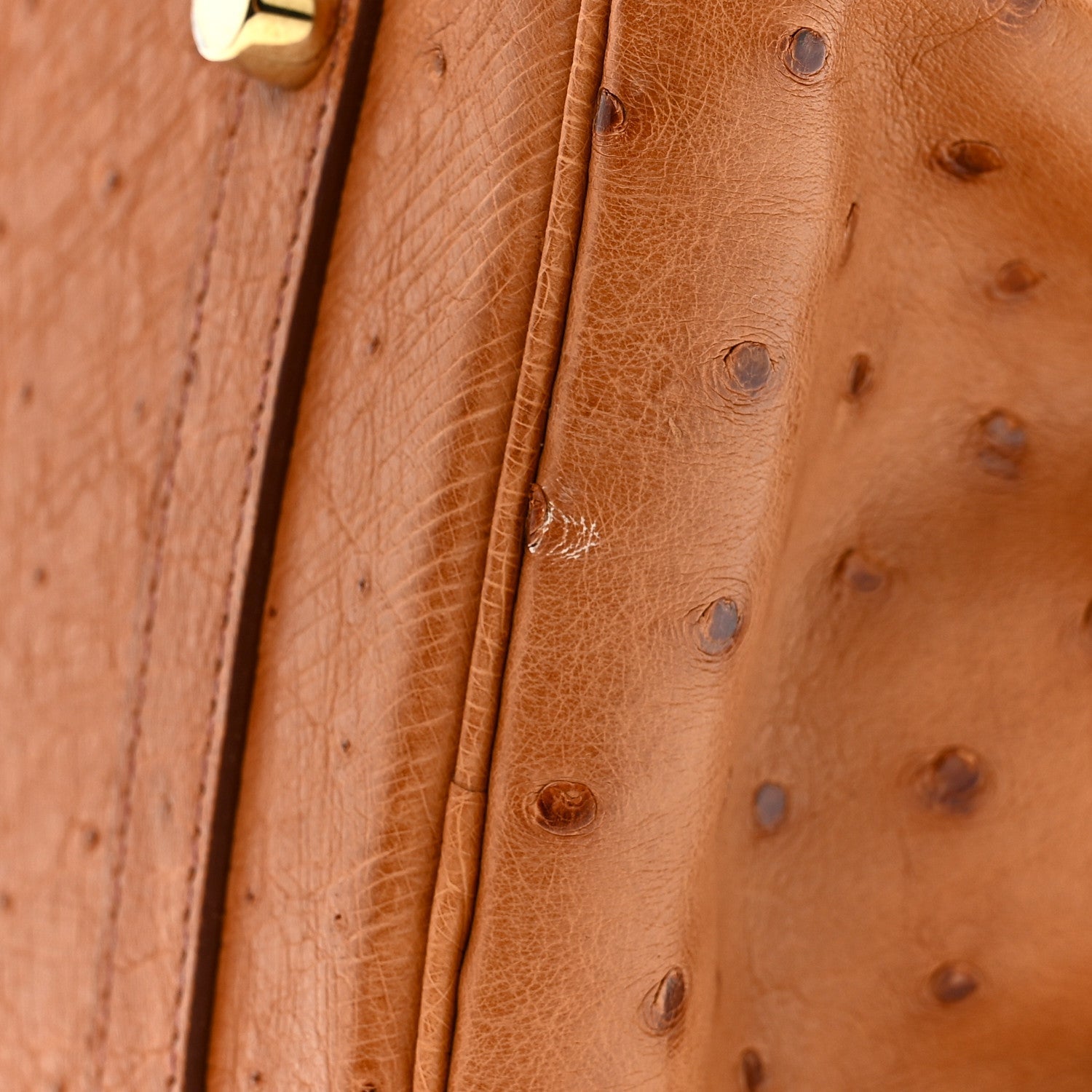 Ostrich Birkin 30 Cognac