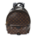 Monogram Palm Springs Backpack MM