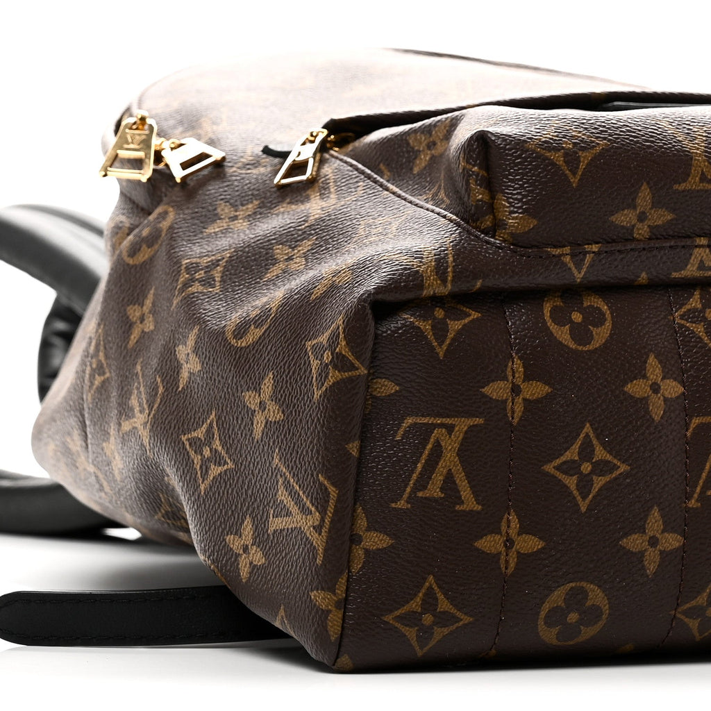Monogram Palm Springs Backpack MM