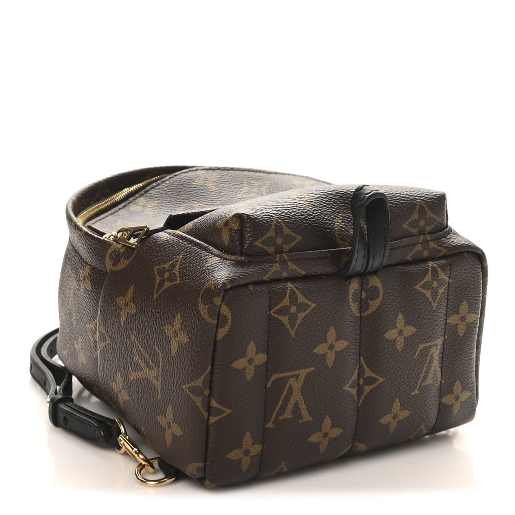 Monogram Palm Springs Backpack Mini