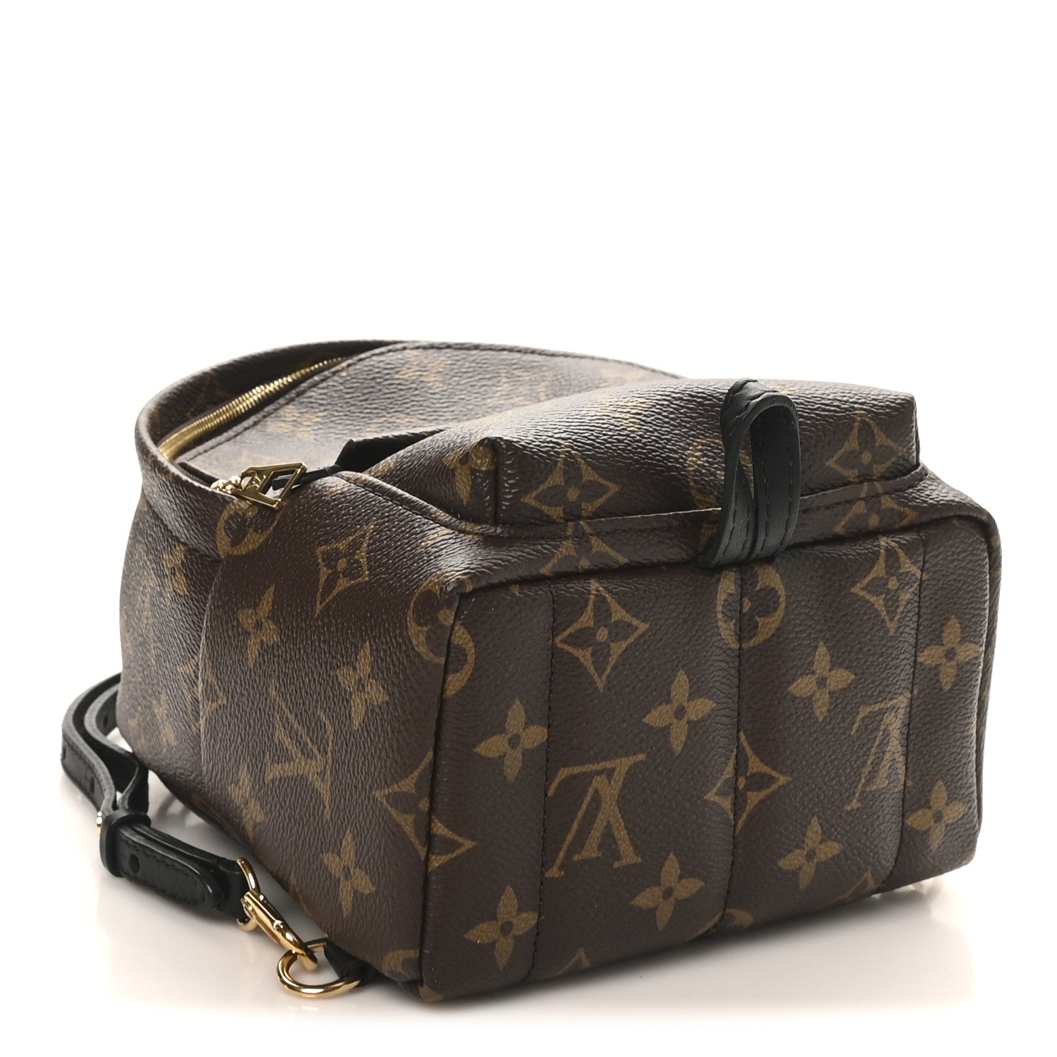 Monogram Palm Springs Backpack Mini