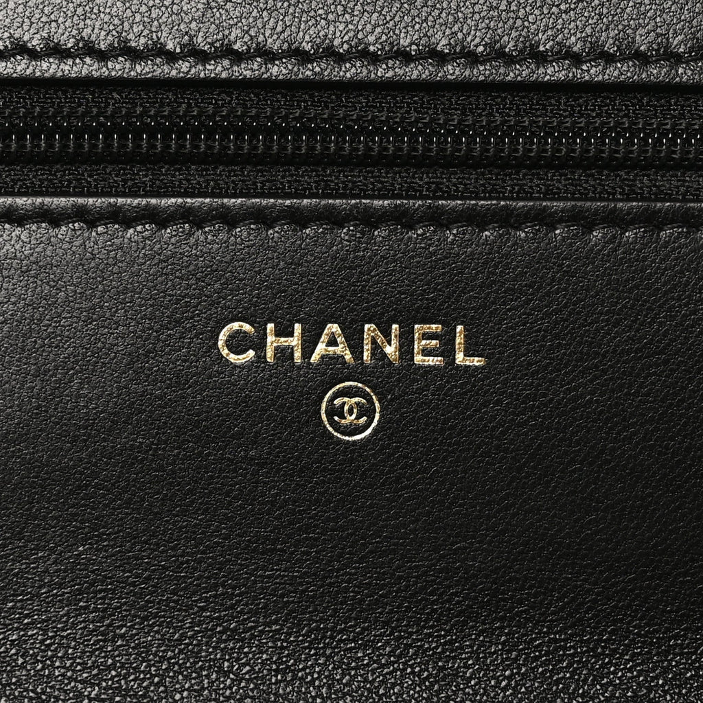 Lambskin Quilted Chanel 19 Wallet On Chain WOC Black