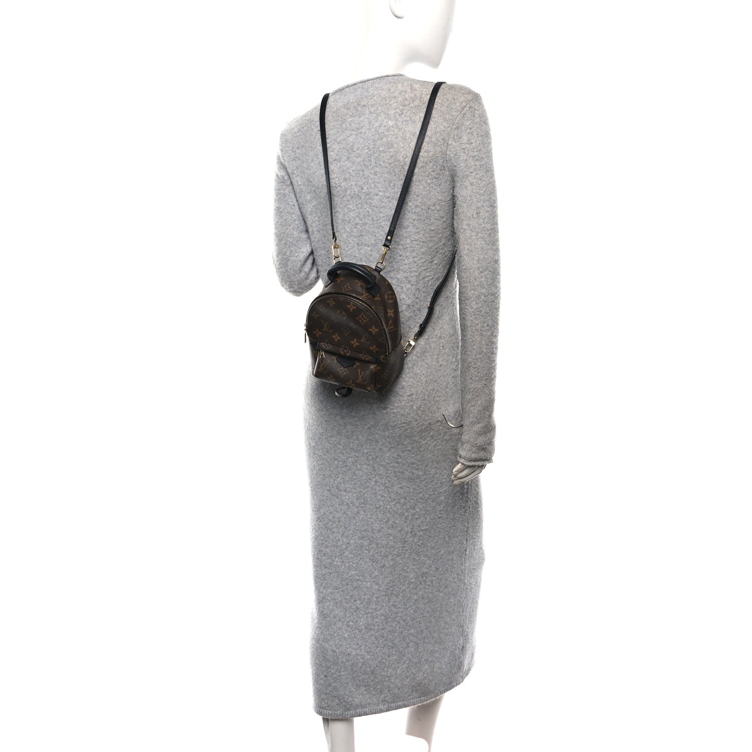 Monogram Palm Springs Backpack Mini