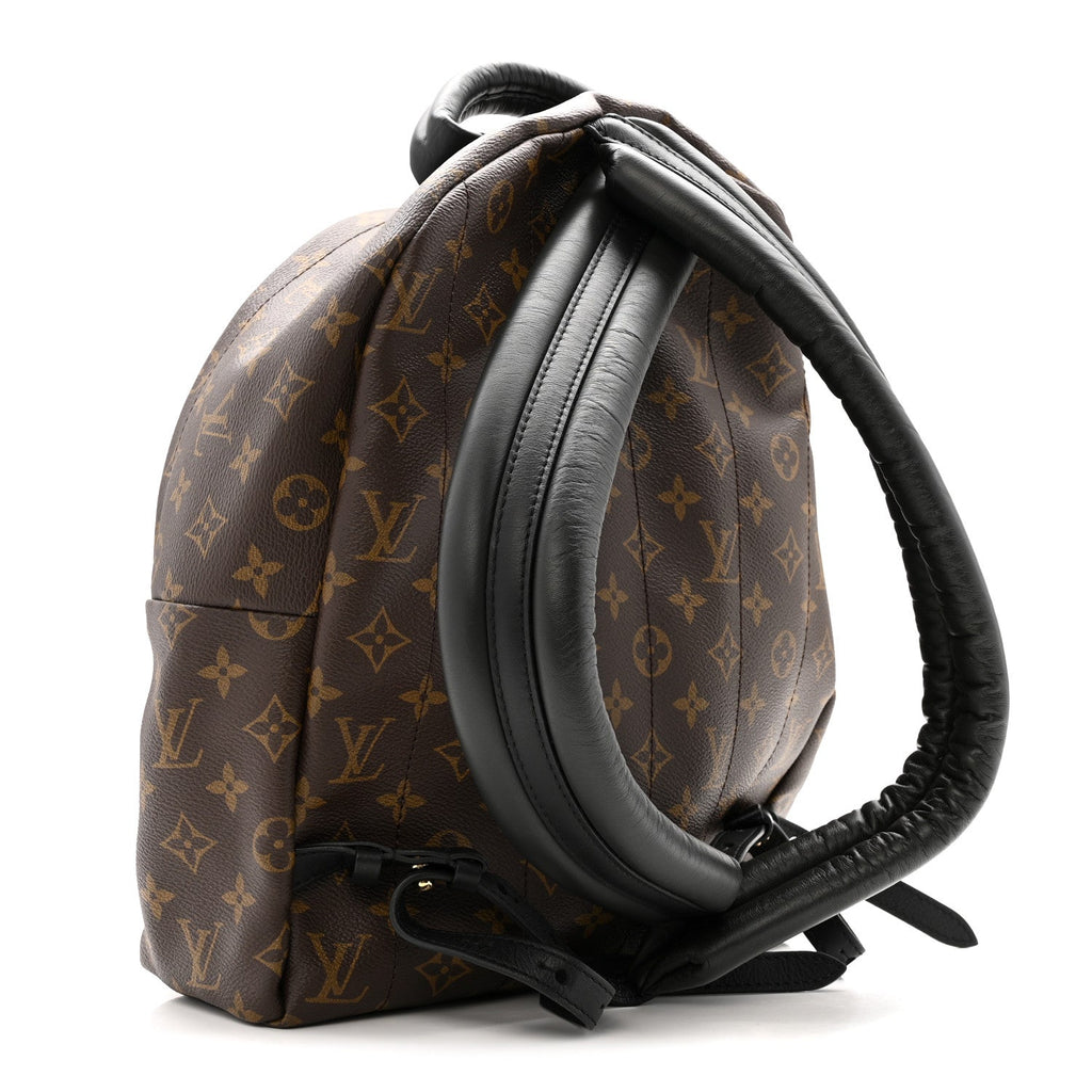 Monogram Palm Springs Backpack MM