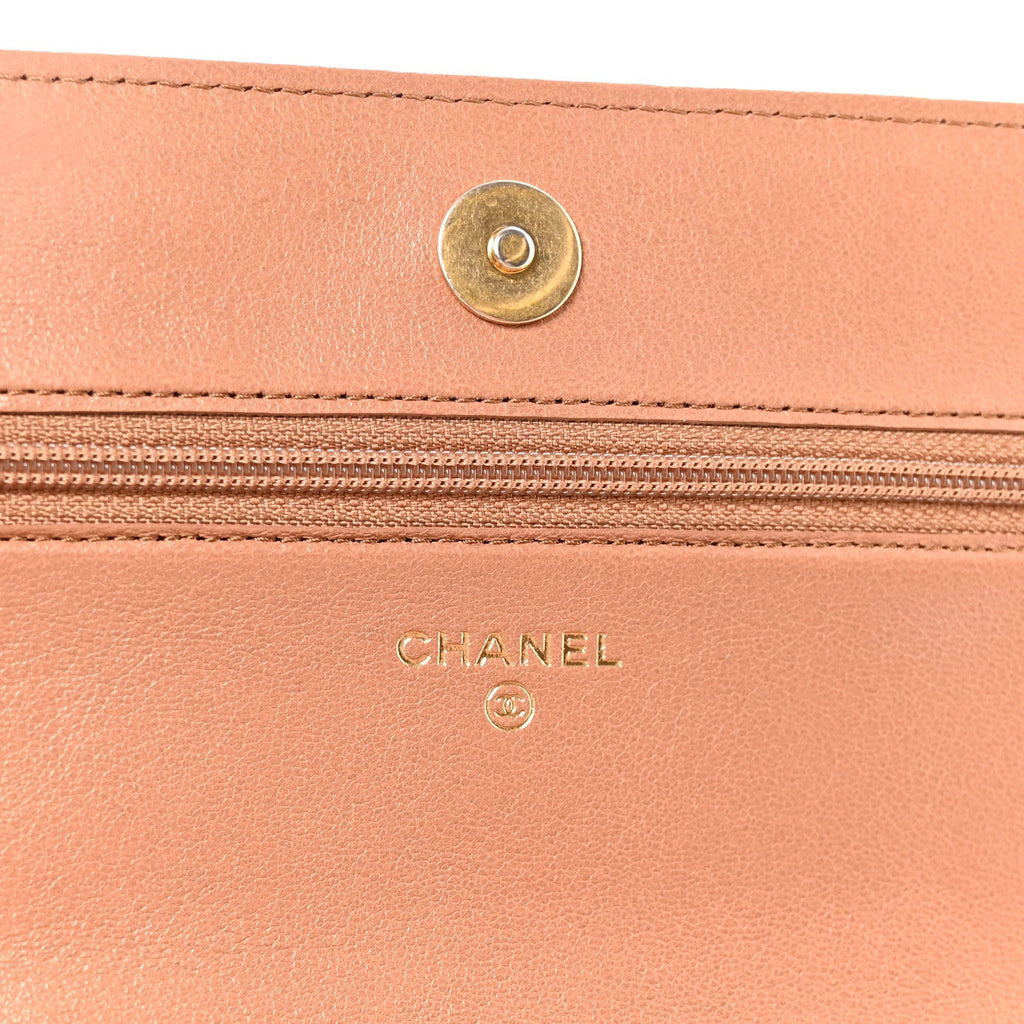 Lambskin Quilted Chanel 19 Wallet On Chain WOC Brown
