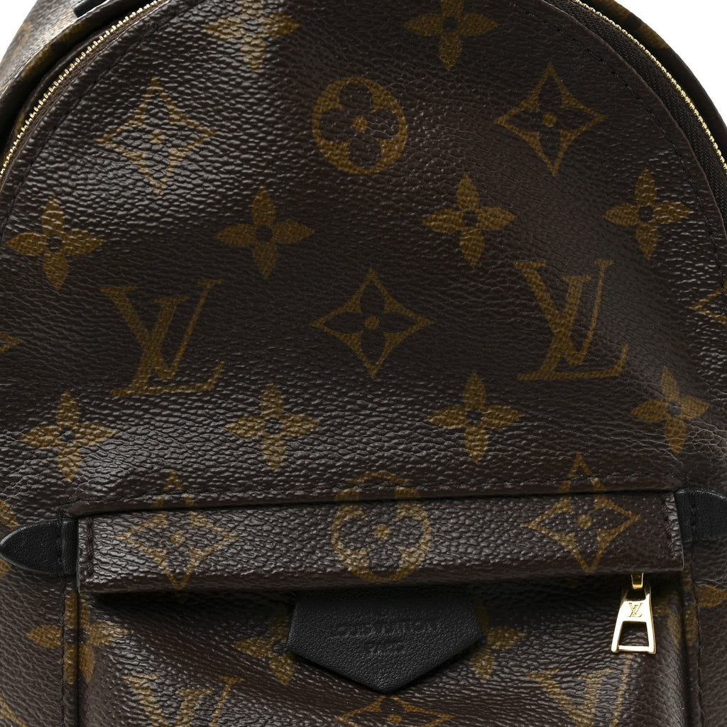 Monogram Palm Springs Backpack Mini