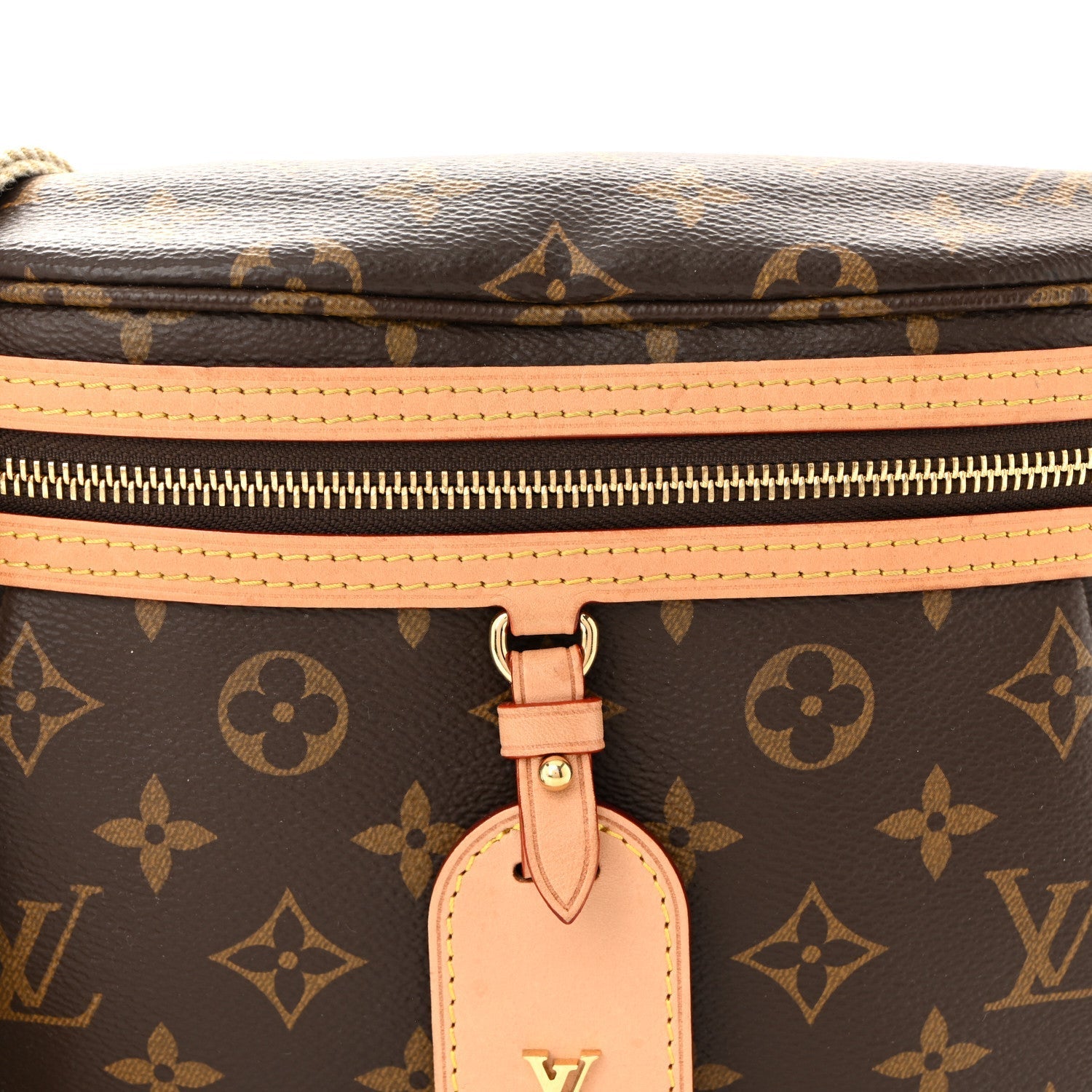 Monogram High Rise Bumbag