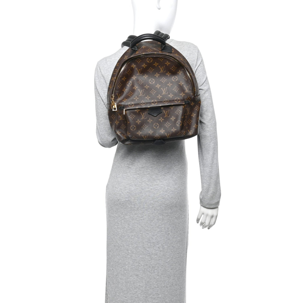 Monogram Palm Springs Backpack MM
