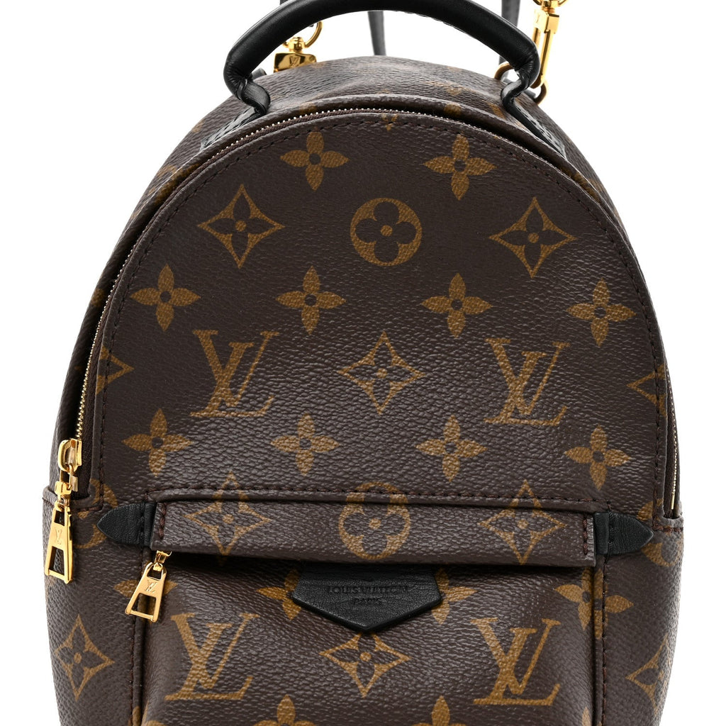 Monogram Palm Springs Backpack Mini