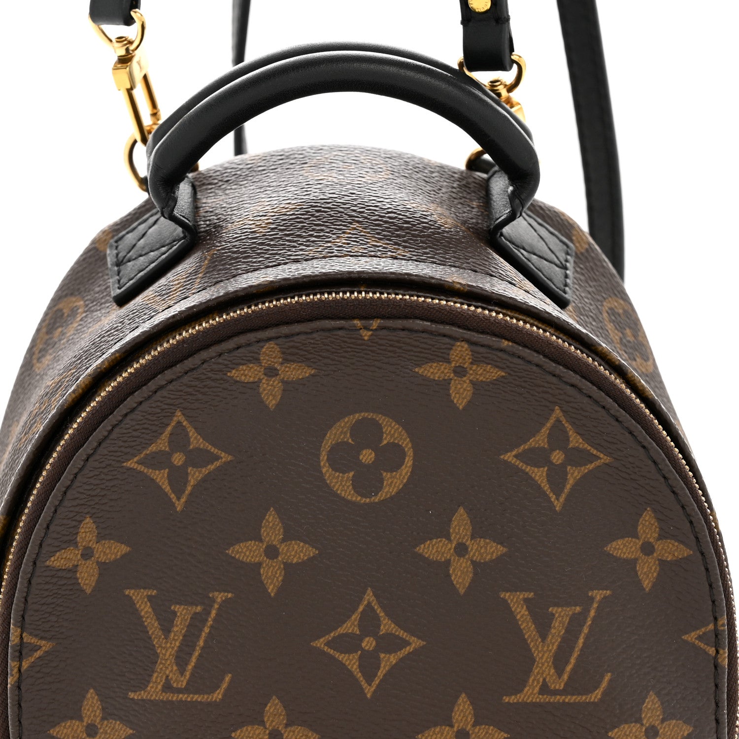 Monogram Palm Springs Backpack Mini