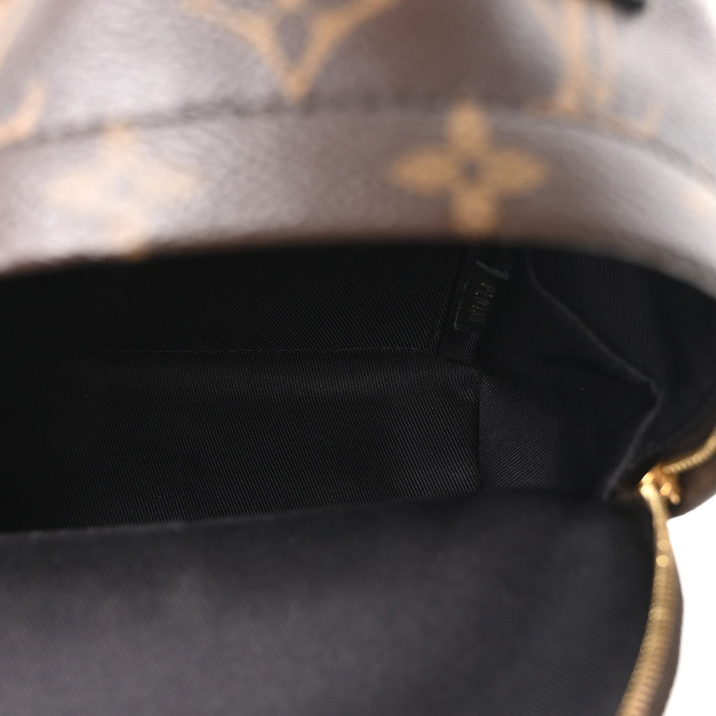 Monogram Palm Springs Backpack Mini