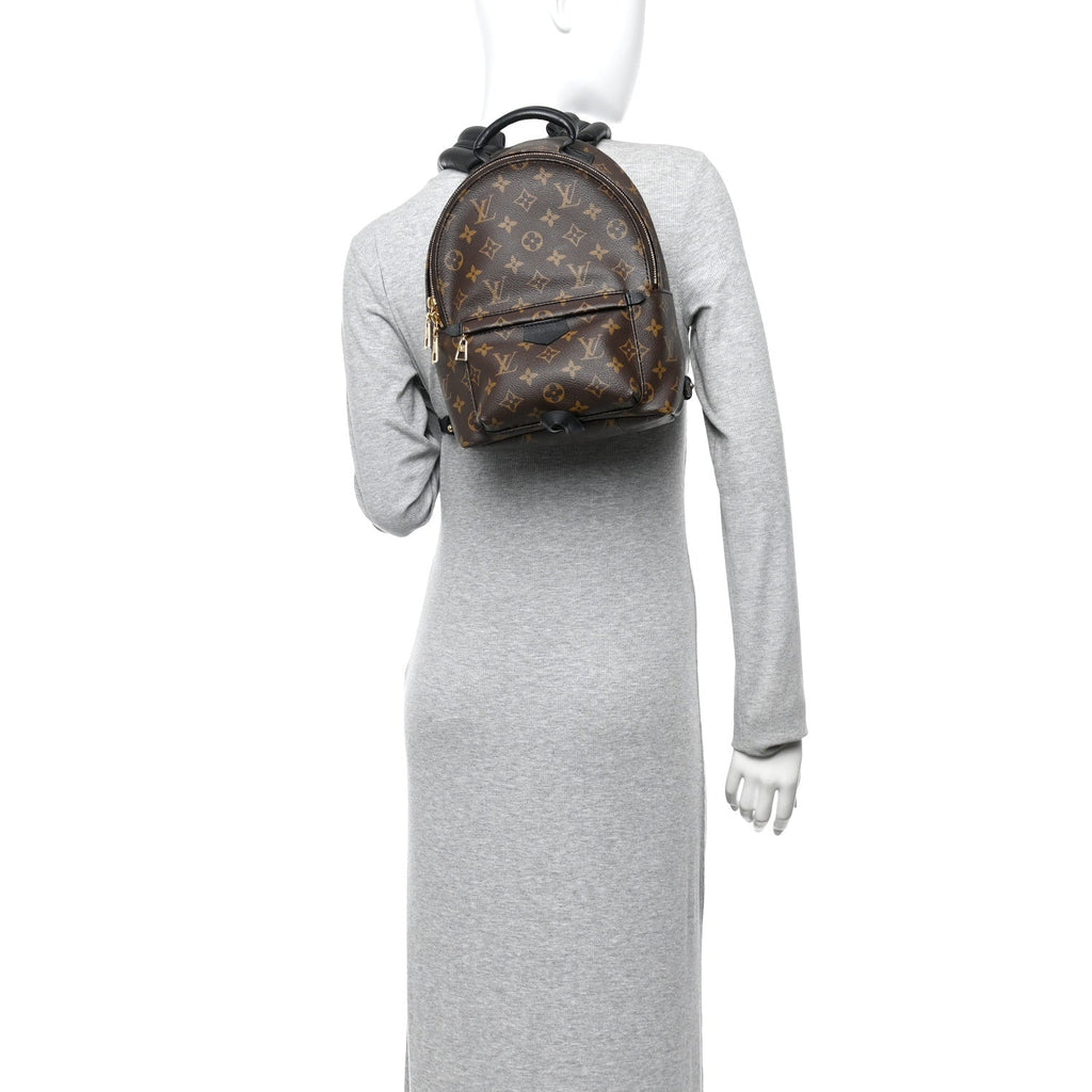 Monogram Palm Springs Backpack PM