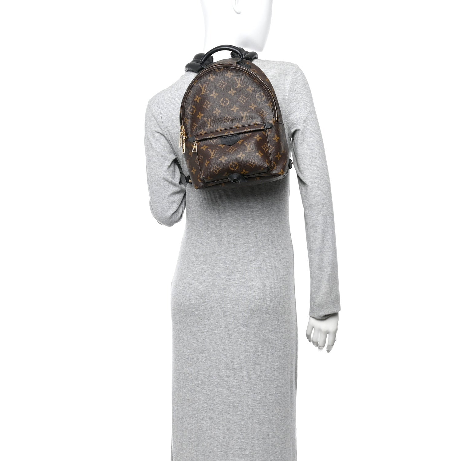 Monogram Palm Springs Backpack PM